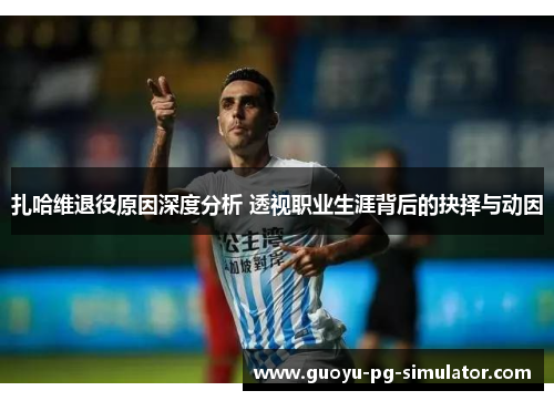 扎哈维退役原因深度分析 透视职业生涯背后的抉择与动因
