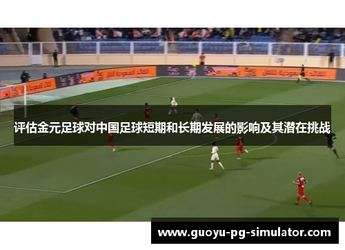 评估金元足球对中国足球短期和长期发展的影响及其潜在挑战 评估金元足球对中国足球短期和长期发展的影响及其潜在挑战