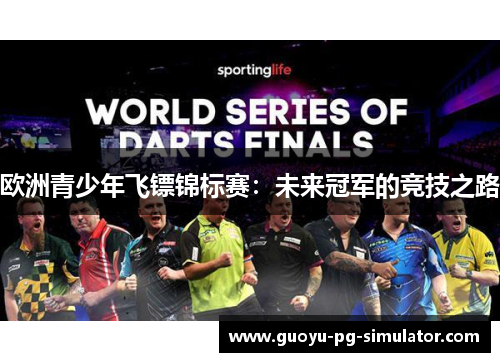 欧洲青少年飞镖锦标赛：未来冠军的竞技之路