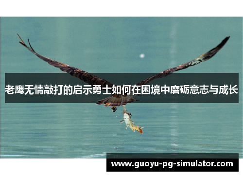 老鹰无情敲打的启示勇士如何在困境中磨砺意志与成长