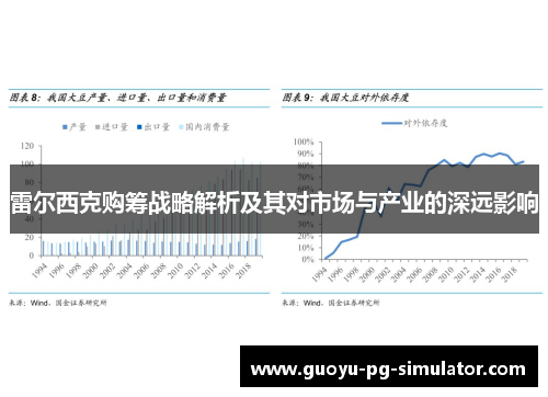 雷尔西克购筹战略解析及其对市场与产业的深远影响 雷尔西克购筹战略解析及其对市场与产业的深远影响