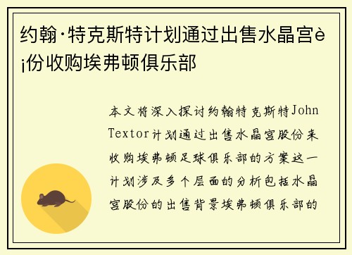 约翰·特克斯特计划通过出售水晶宫股份收购埃弗顿俱乐部